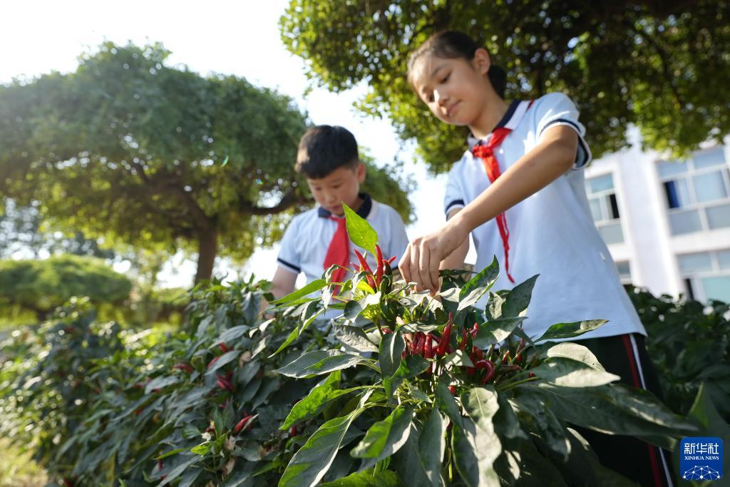 星光娱乐苹果下载